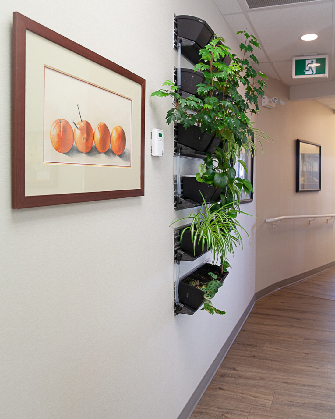Bowker Creek Dental front office